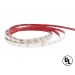 Single Color Strip -300 X SMD High Power- IP65- 72 Watts - UL Listed 24- VDC